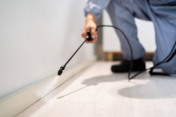 Licensed Pest Control service in University Center, VA - Show Me Pest Control